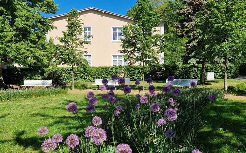 Letzte Altbauwohnung in bester Lage, bezugsfrei